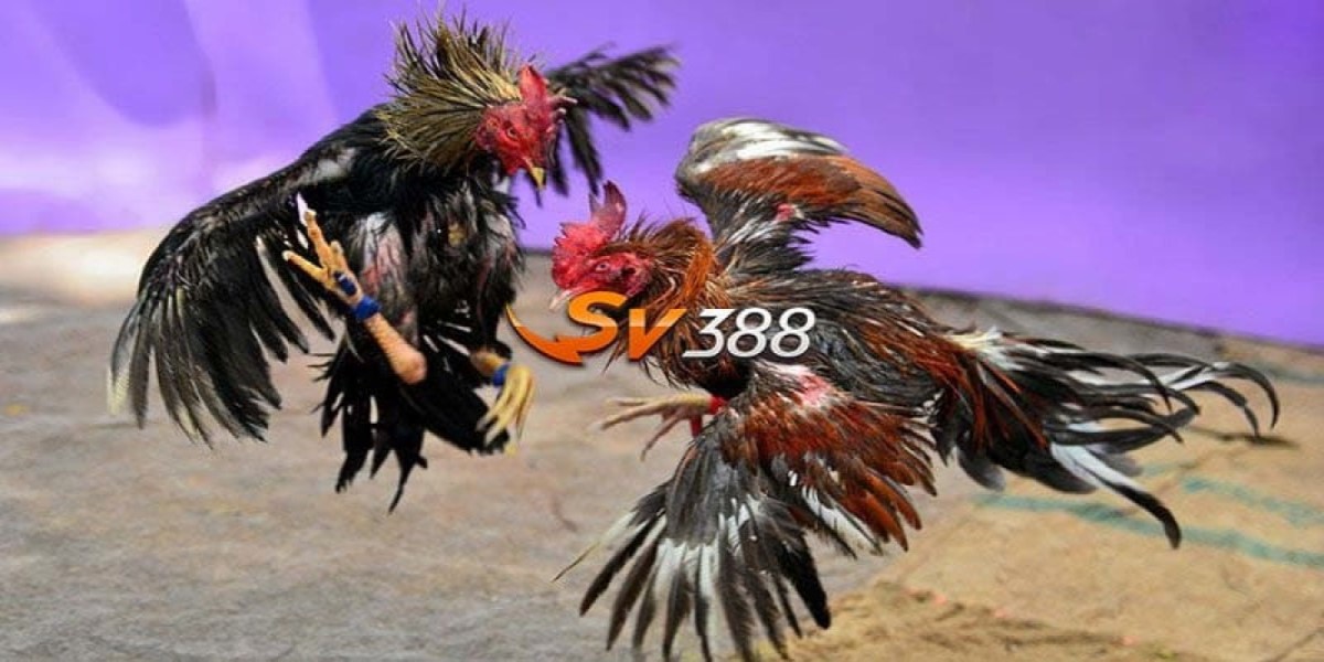 Đá gà hôm nay sv388 